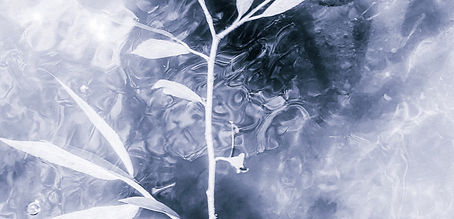 Photographie contemporaine, photographie d'art, fine art photography, photographie de nature, photographie eau