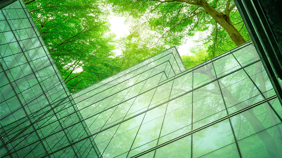 Trees and buildings2 (1).png
