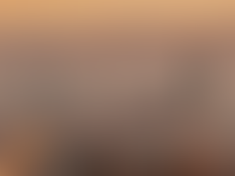 A Sua Primeira Contratação Comercial na Alemanha Vai Definir a Sua Entrada no Mercado