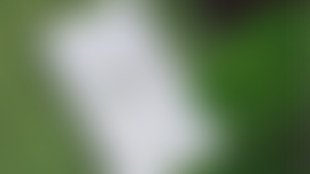 Avomind Impersonation Alert: Email Scams Targeting Job Seekers