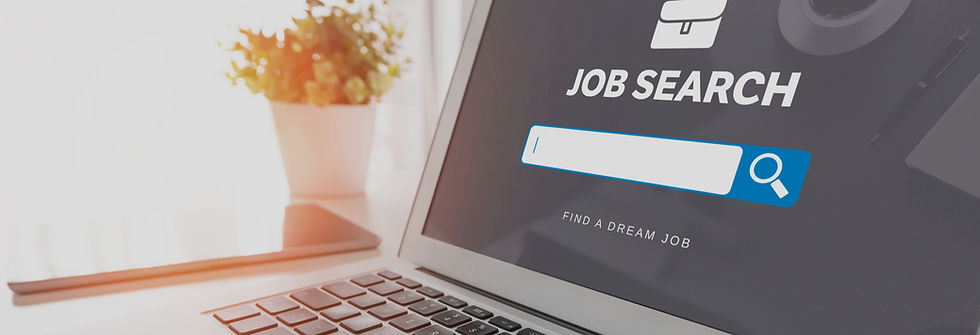 Online Job Search