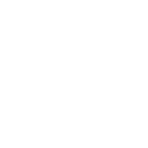 Person holding a flag, representing CX leaders.