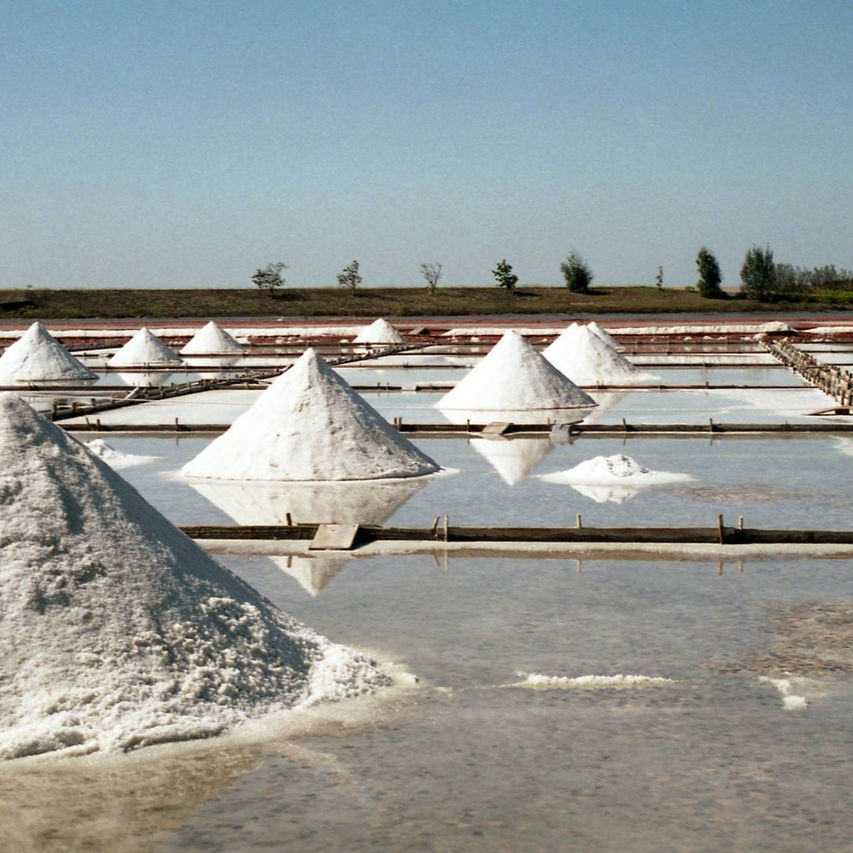 L'Oro Bianco