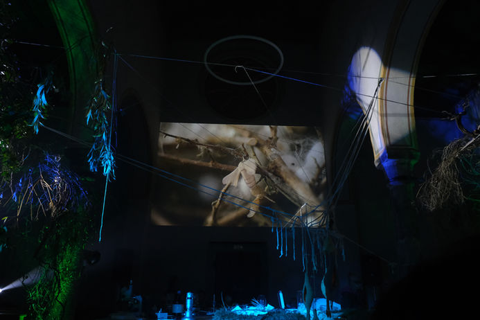 Artistic Residence Binah - Vettori 2022 Contrada Paola Pisani Ivan Penov