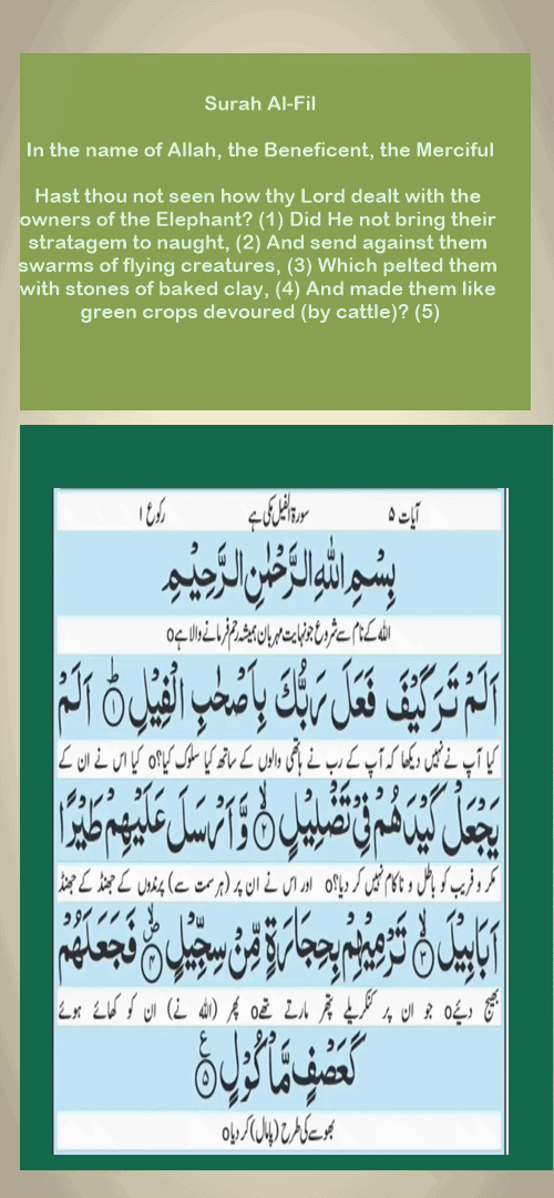 sura fill,,,.gif