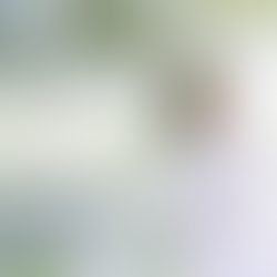 Stop Waiting - 2023 is Half Over! 🗓️