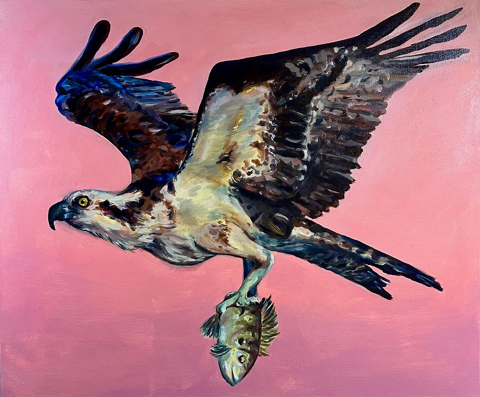 Osprey