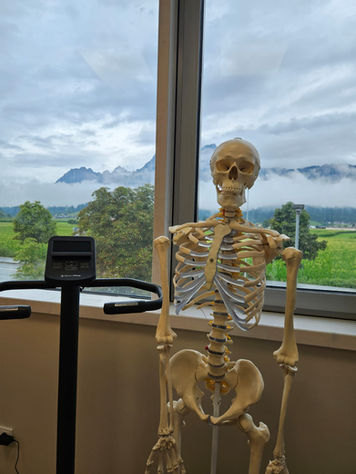 Synergie Mensch_Bewegungsraum