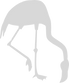 Logo Flamingo Freigestellt_klein_edited_edited_edited.png