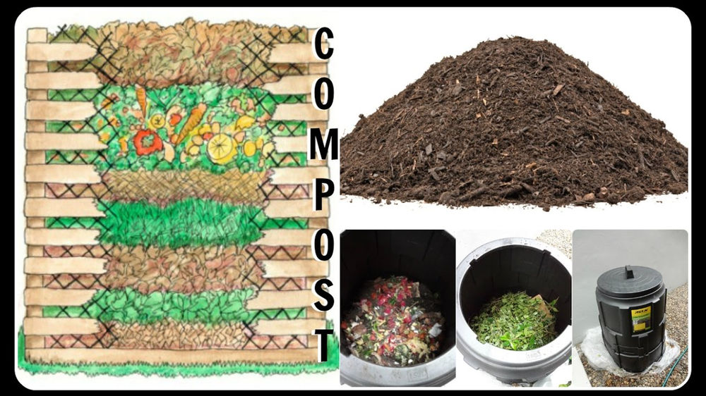 How To Compost