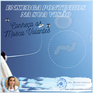 O que são as moscas volantes?