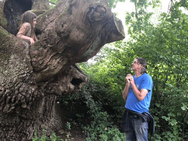 IMG_5974.GIF
