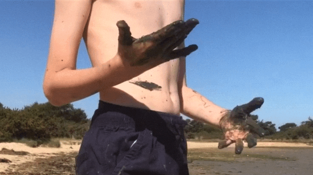 IMG_5314.GIF