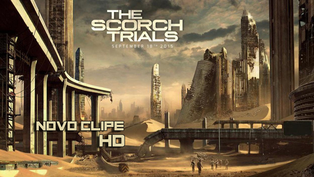 MAZE RUNNER | Veja Thomas apavorado com sua descoberta no novo clipe do filme!!!