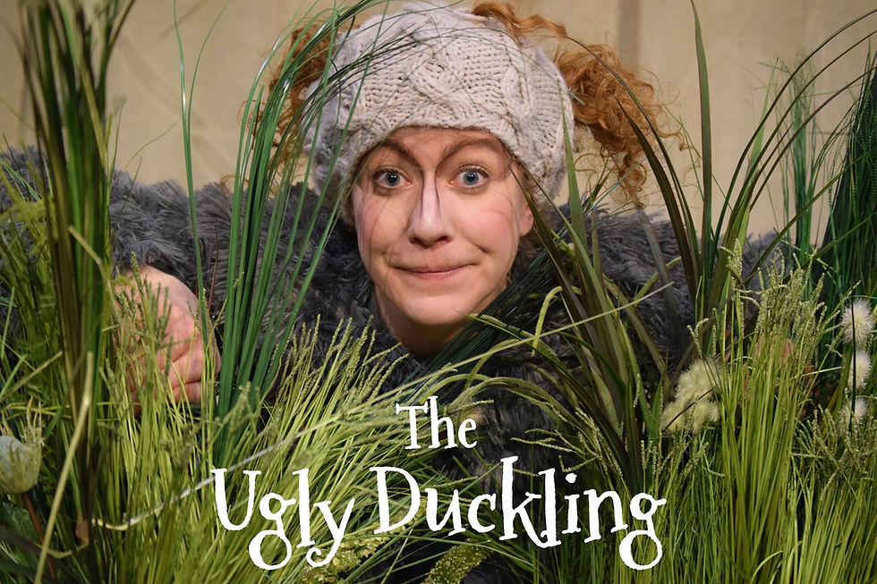 The Ugly Duckling