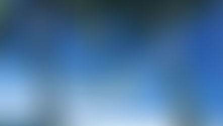 Hedonist's List of Desert Island Essentials ~ Vivien Steels