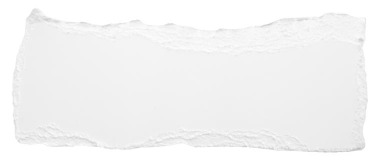 TornPapers-1.png