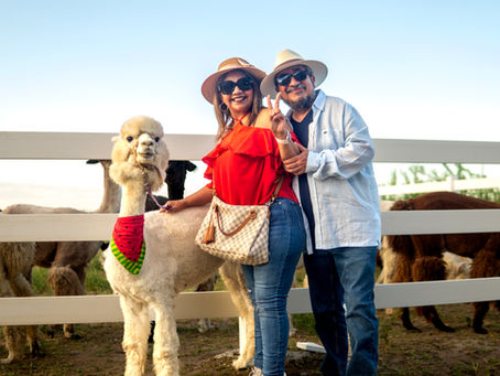 “A Little Escape, A Lot of Joy”