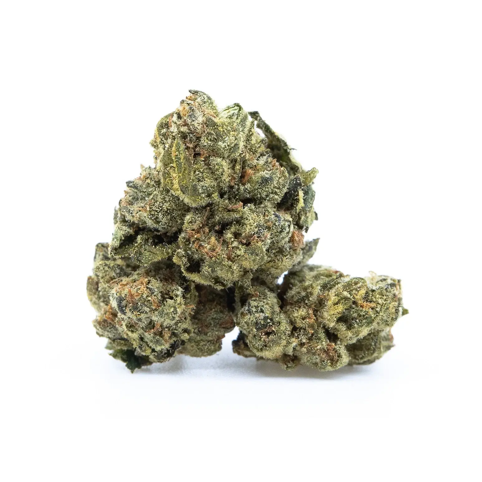 Hybrid- Moroccan Peaches