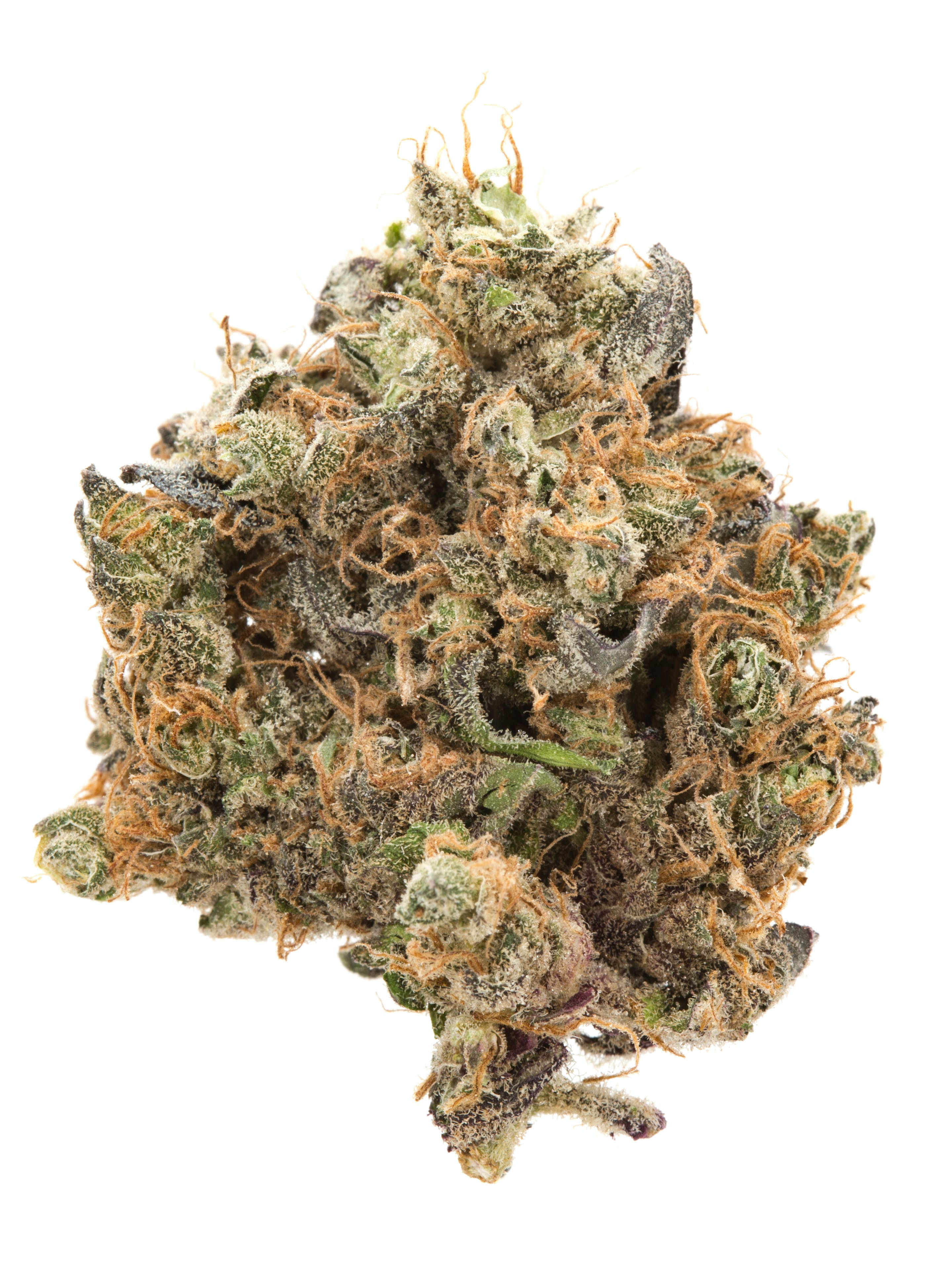 Indica - Mr. Nice Guy