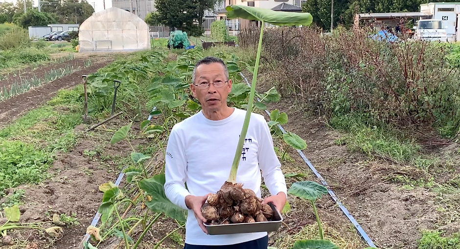 ハタケタナカ 11月 里芋 オンライン料理教室 HAPPY Food Onlin
