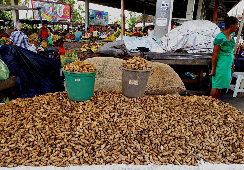 Feirinha da Estação Nova