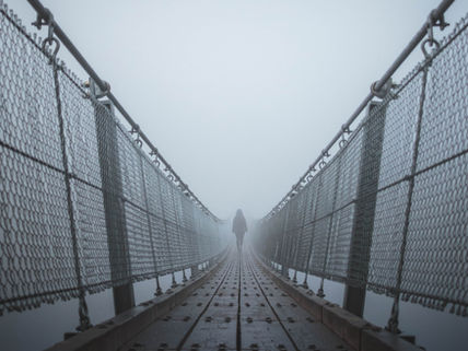 An Unmasked Journey: Navigating the Challenges of Psychosis - Steering & managing it.