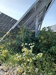 av isnight photo solar panels