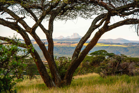 winti_lewa_downs_20140327_0081.jpg