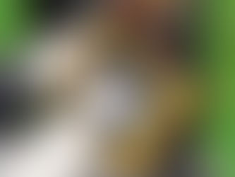 Power quality assessment for industrial UPS systems in KZN