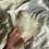 Thumbnail: Large quartz cluster