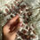 Thumbnail: Sunstone tumble stones