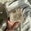 Thumbnail: Large free standing quartz cluster