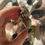 Thumbnail: Rough dark smoky quartz points