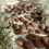 Thumbnail: Sunstone tumble stones