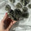 Thumbnail: Large pyrite druzy heart 78b