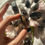 Thumbnail: Rough dark smoky quartz points