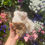 Thumbnail: Large quartz geode