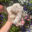 Thumbnail: Large quartz geode