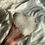 Thumbnail: Large quartz cluster