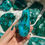 Thumbnail:  Malacholla free form 48a