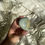 Thumbnail: Fuchsite, ruby and kyanite heart 18a