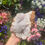 Thumbnail: Large quartz geode