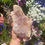 Thumbnail: Large Madagascan amethyst cluster