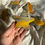 Thumbnail: Bumblebee jasper star 22a