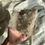 Thumbnail: Large free standing quartz cluster