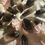 Thumbnail: Rough dark smoky quartz points