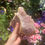 Thumbnail: Large Madagascan amethyst cluster