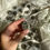 Thumbnail: Druzy pyrite tumble stones