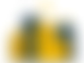 Kalkan sandığınız mülk, doğru seçilmezse zayıf nokta haline gelebilir.